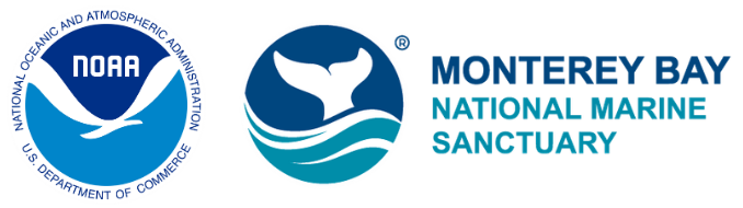 Color Logos Horiztontal Color Logos Horiztontal