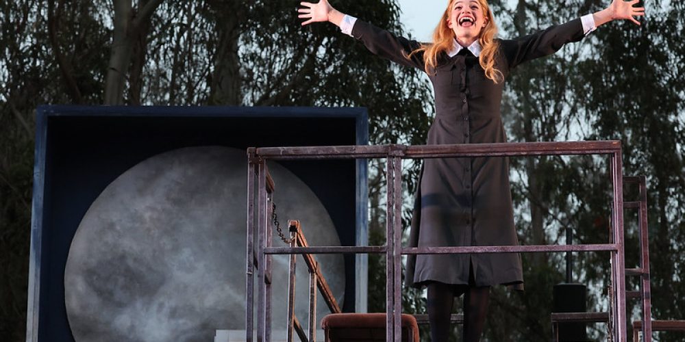 54653453510_0bdb42f5ea_c