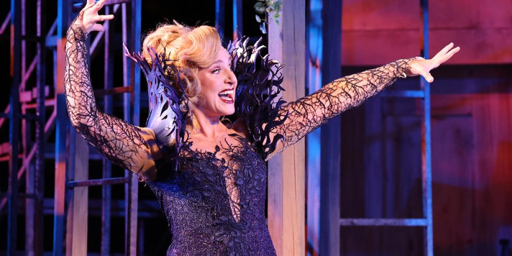 54655507683_0ee9d601cd_c